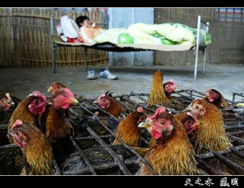 查看更多精彩圖片