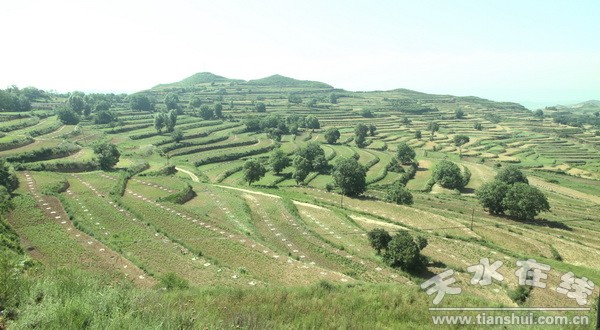 IMG_9132_調(diào)整大小.jpg