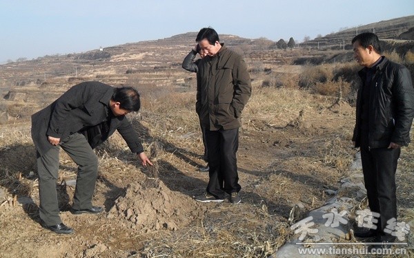 檢查鐵爐梁干鮮果基地越冬管理2.jpg