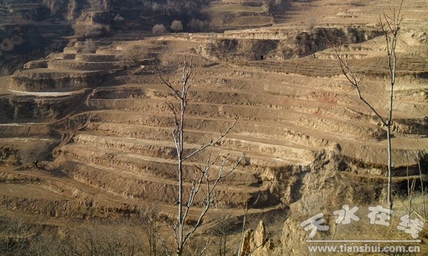 廟臺(tái)梯田.jpg