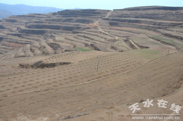 王河鄉(xiāng).jpg