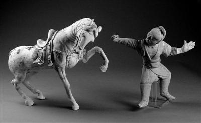 馬類發(fā)展史:世界唯一野馬曾存新疆 引多國搶奪