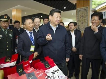習(xí)近平:把新疆好資源特色資源開發(fā)出來