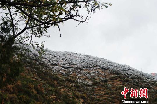 甘肅入秋后迎首場大范圍降雪 最大積雪達10厘米