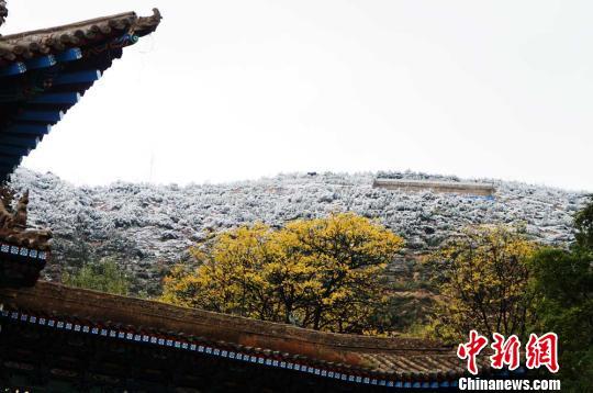 甘肅入秋后迎首場大范圍降雪最大積雪深度10厘米