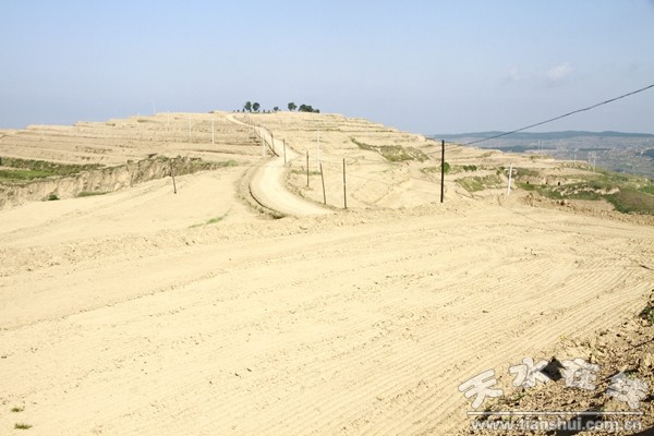 _MG_6139.JPG