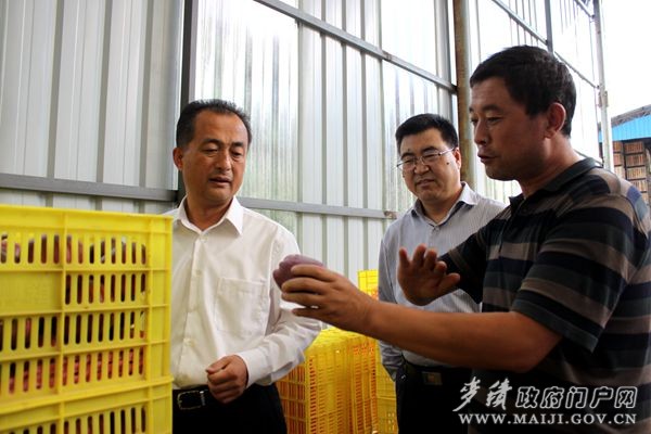 了解花牛蘋果銷售情況 了解花牛蘋果銷售情況