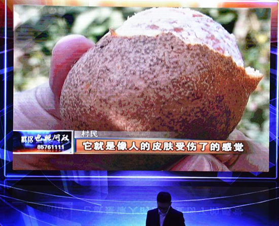 2015年1月10日晚,湖北省武漢市,電視問政第五場(chǎng)關(guān)注醫(yī)院、商場(chǎng)、學(xué)校周邊秩序管理,開發(fā)區(qū)和新城區(qū)基本生態(tài)控制線保護(hù)實(shí)施問題,相關(guān)負(fù)責(zé)人將走上問政臺(tái)。