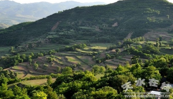 張楊村水毀梯田得到修復(fù).jpg