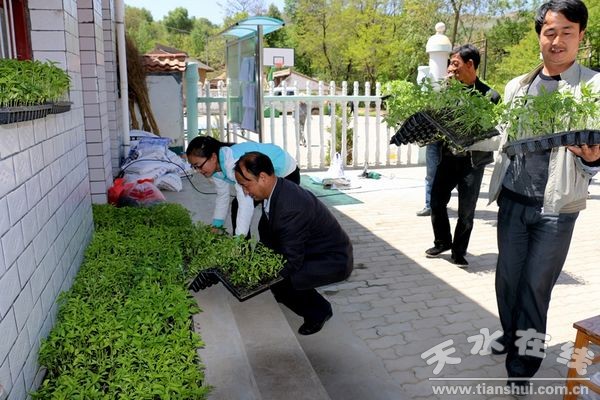 贈(zèng)送的辣椒苗 (1).jpg