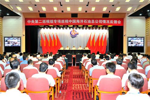 中央巡視組：中海油個別領(lǐng)導帶頭“吃里扒外”
