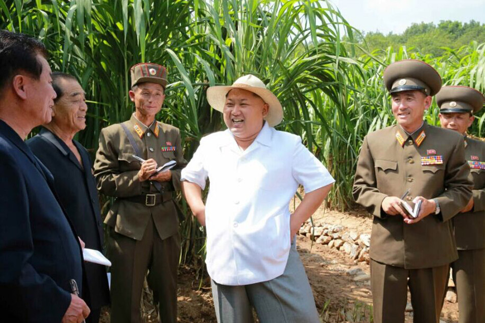 金正恩視察種子研究農(nóng)場(網(wǎng)頁截圖)