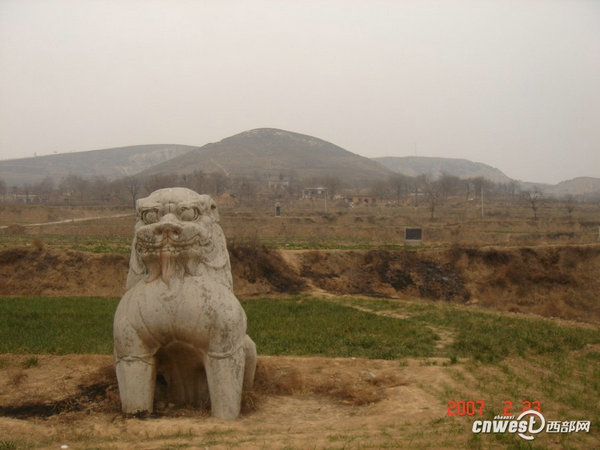 原文配圖:唐中宗定陵北門西側(cè)新發(fā)現(xiàn)的石虎。
