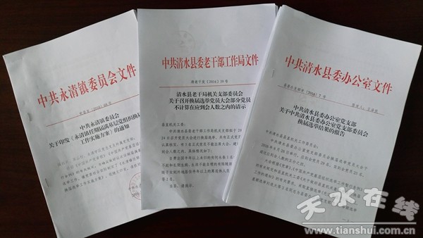 4.任期屆愛搞網(wǎng)基層黨組織換屆選舉相關(guān)資料_副本.jpg