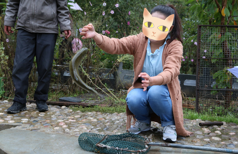 點擊查看大圖