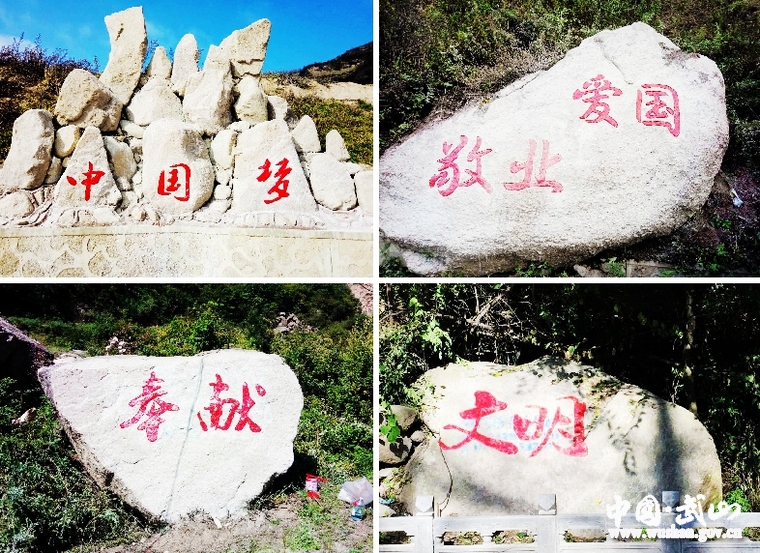 點(diǎn)擊查看大圖