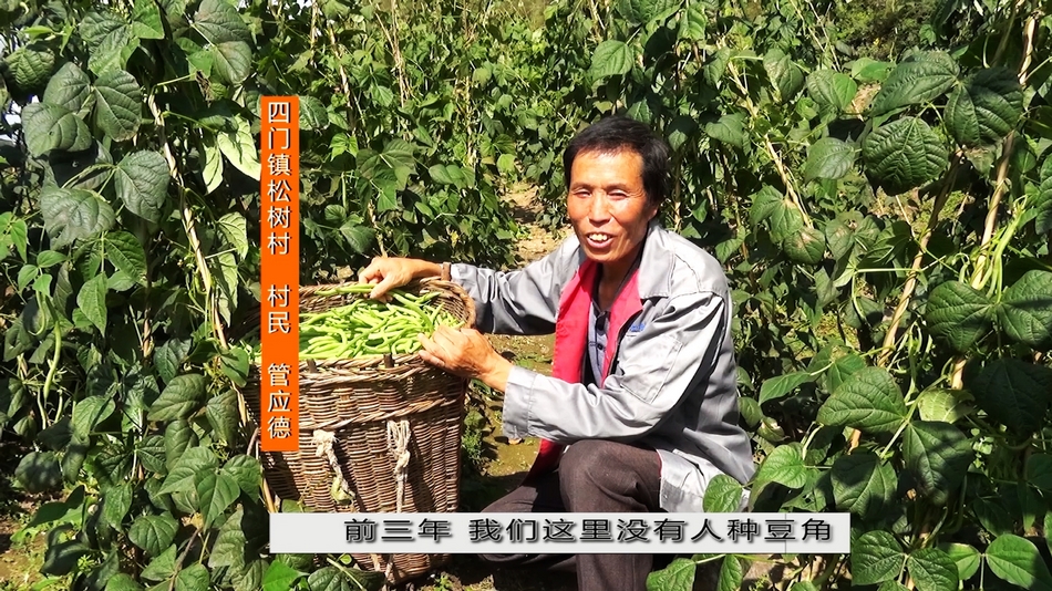 點(diǎn)擊查看大圖