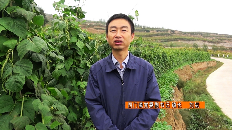 點(diǎn)擊查看大圖
