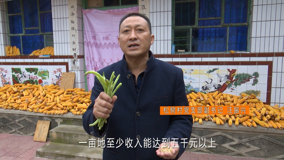 點(diǎn)擊查看大圖