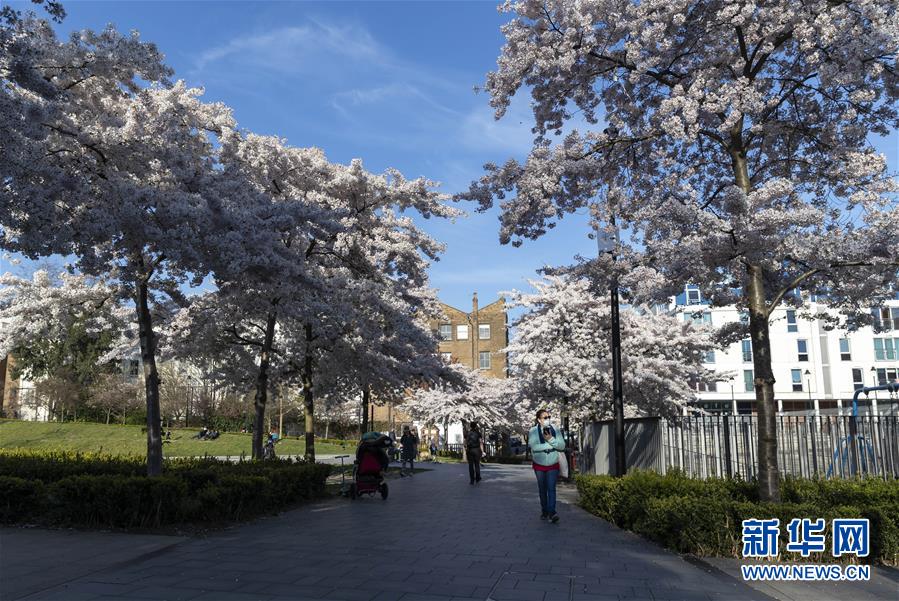 (國際疫情)(2)英國新冠肺炎確診病例數(shù)破萬