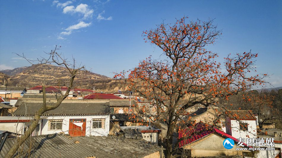 DJI_01011
