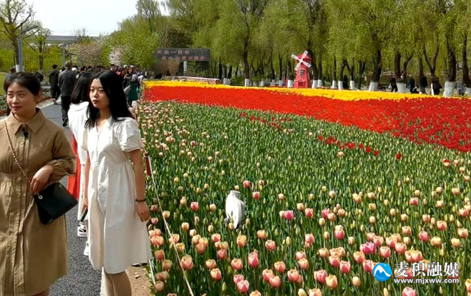 微信圖片_20230411160043