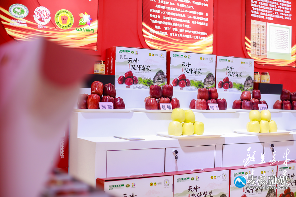 圖片16