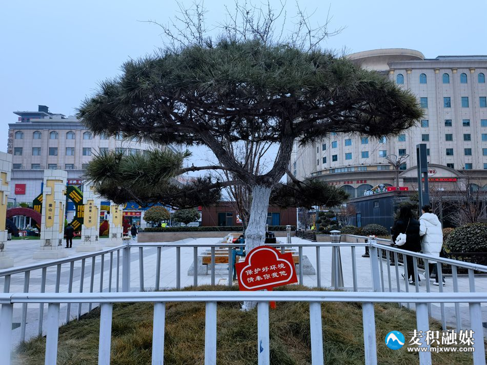 微信圖片_20240116171741